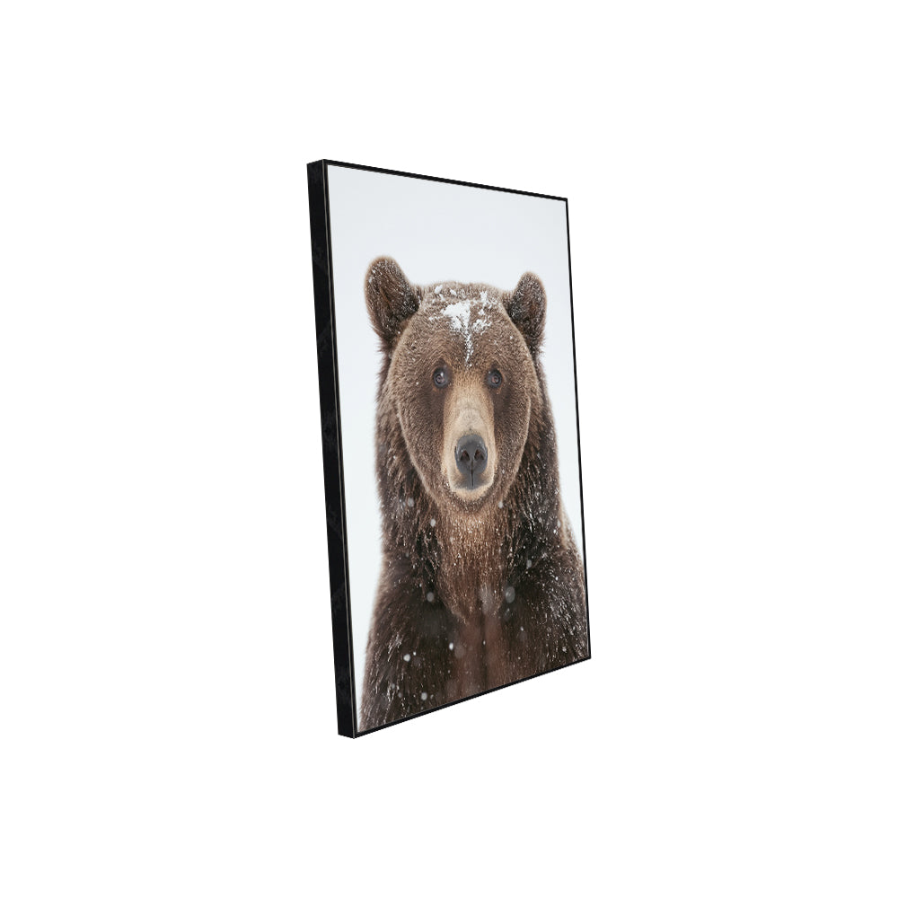 Graceful Winter Bear – A Stunning Wildlife Portrait Canvas Wall Art