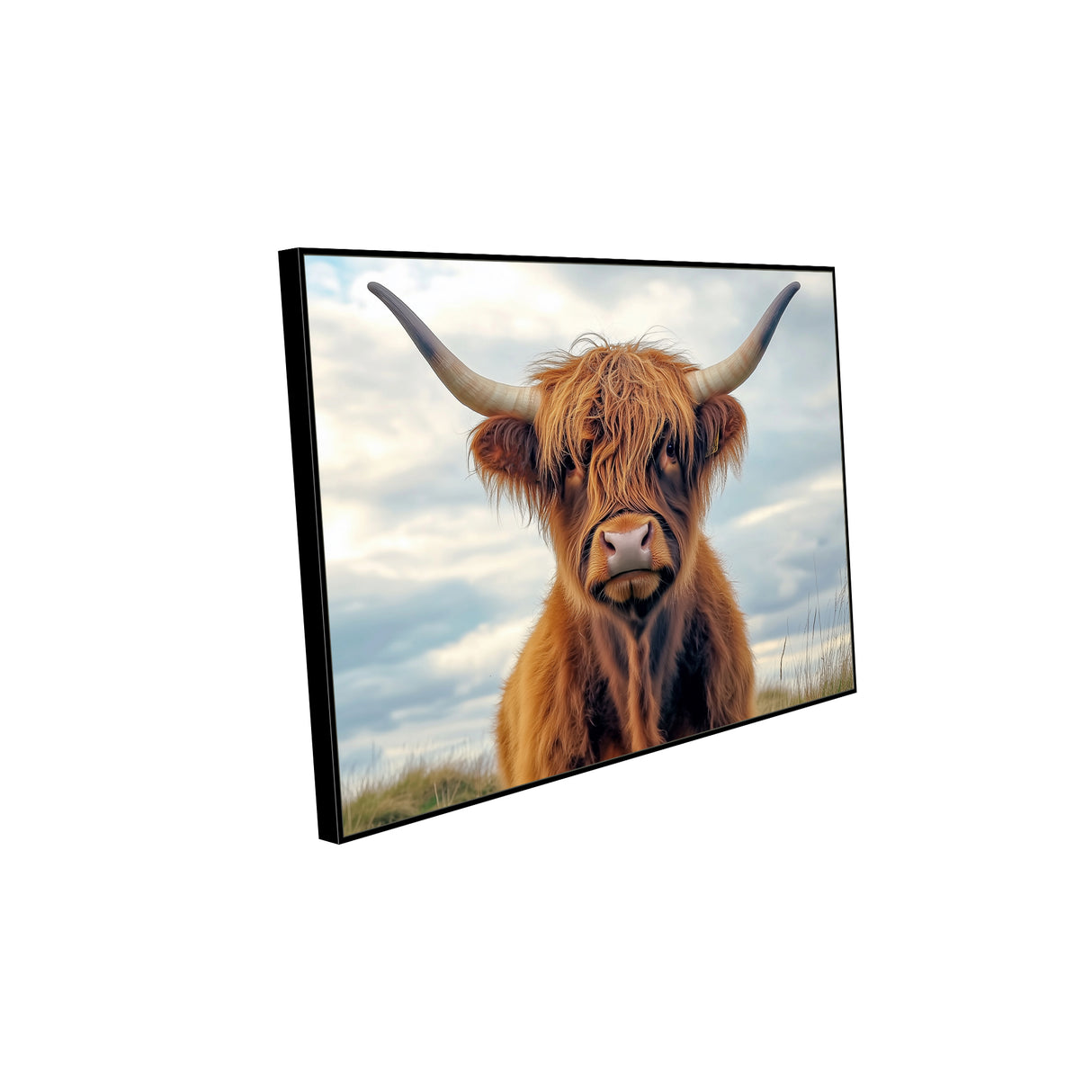 Rustic Beauty: Highland Cow Portrait - Canvas Wall Art