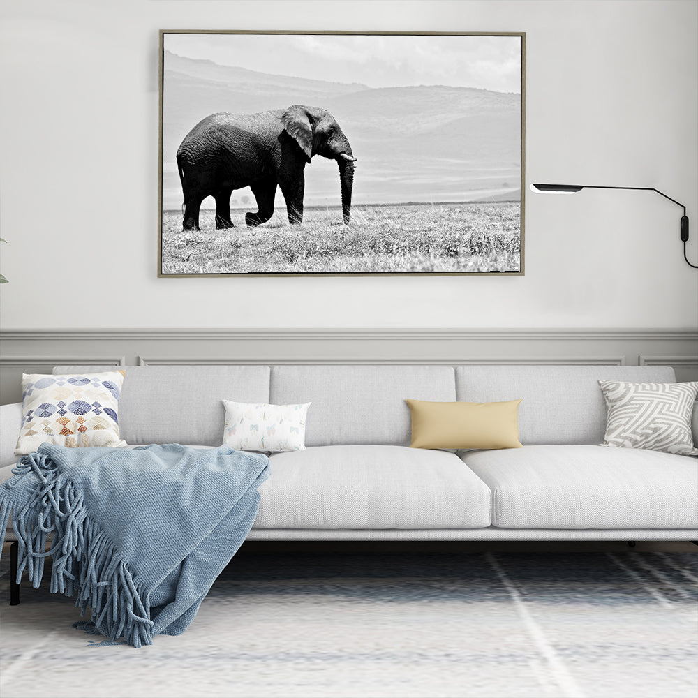 Majestic Elephant In Black And White Canvas Wall Art