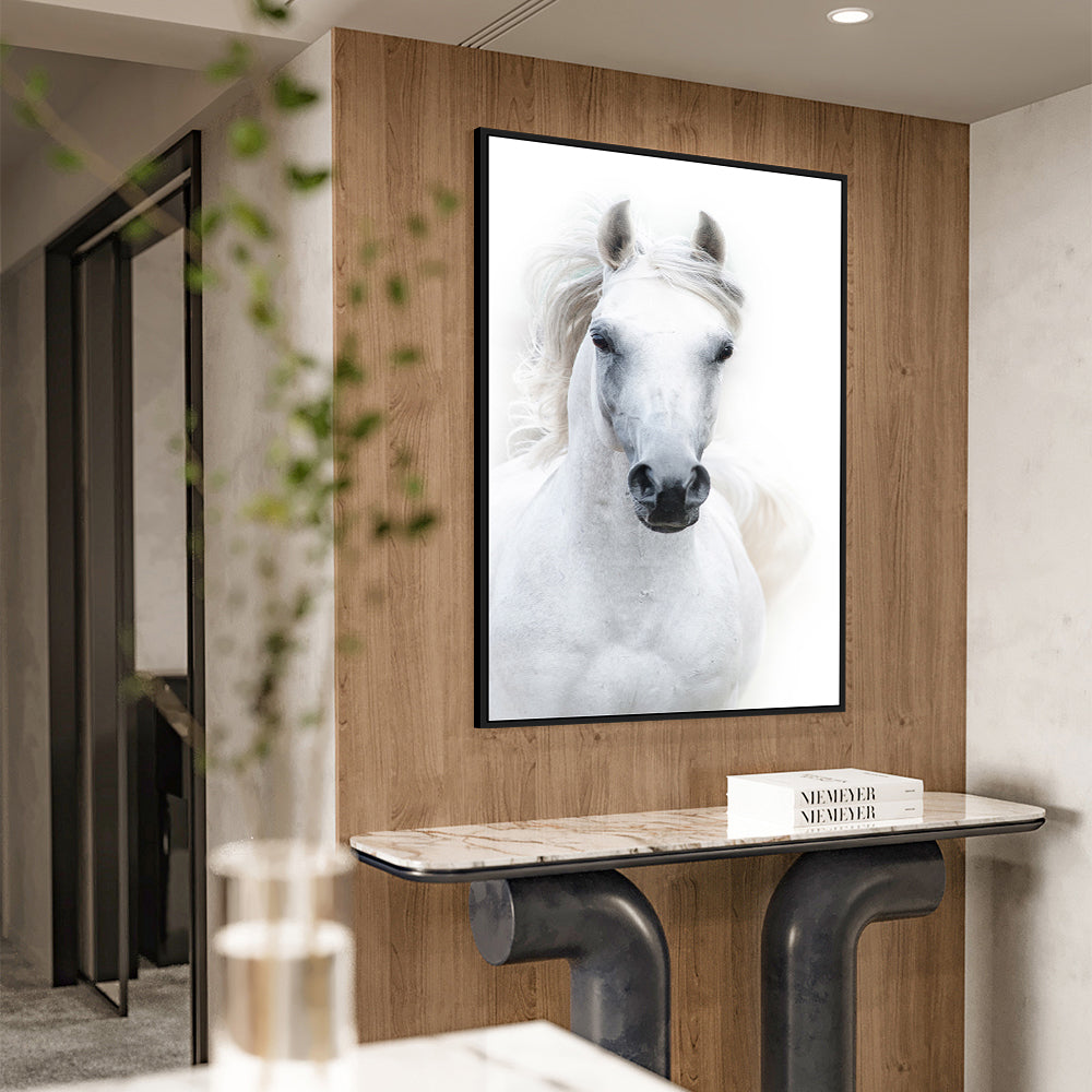 Majestic White Horse Canvas Wall Art