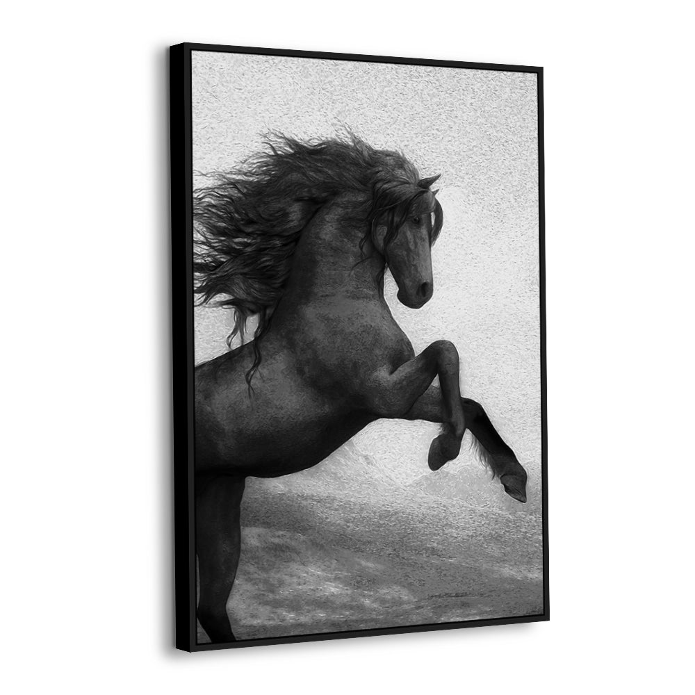 Majestic Black Stallion – Elegant Horse Print Canvas Wall Art