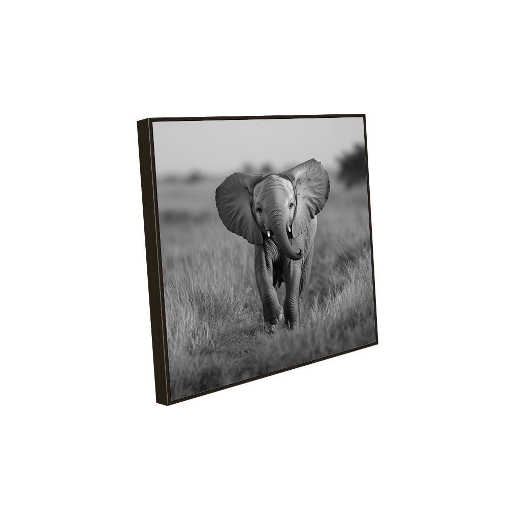 Gentle Elephant Calf Black And White Canvas Wall Art