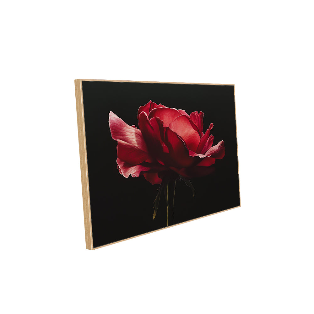 Elegant Red Rose Canvas Wall Art