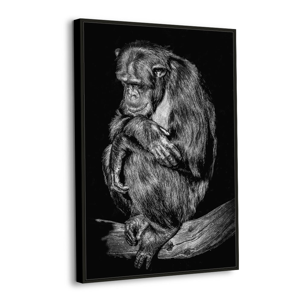 Contemplative (Black & White) Gorilla Canvas Wall Art