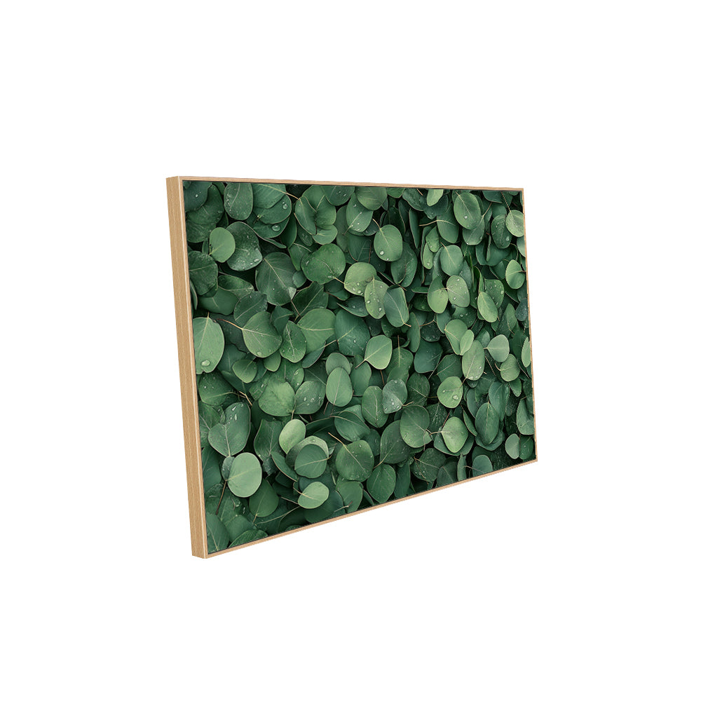 Lush Green Eucalyptus Leaves Canvas Wall Art