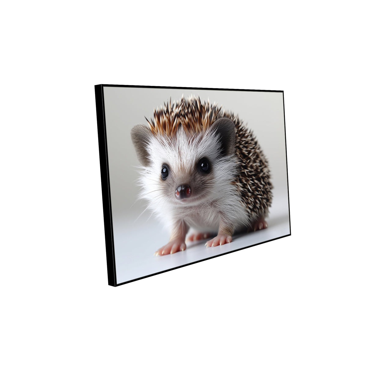"Adorable Hedgehog Portrait" Canvas Wall Art