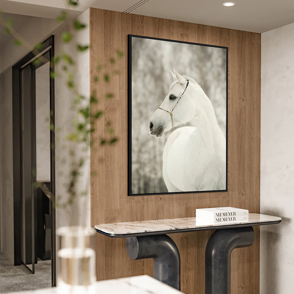 Majestic White Horse Canvas Wall Art