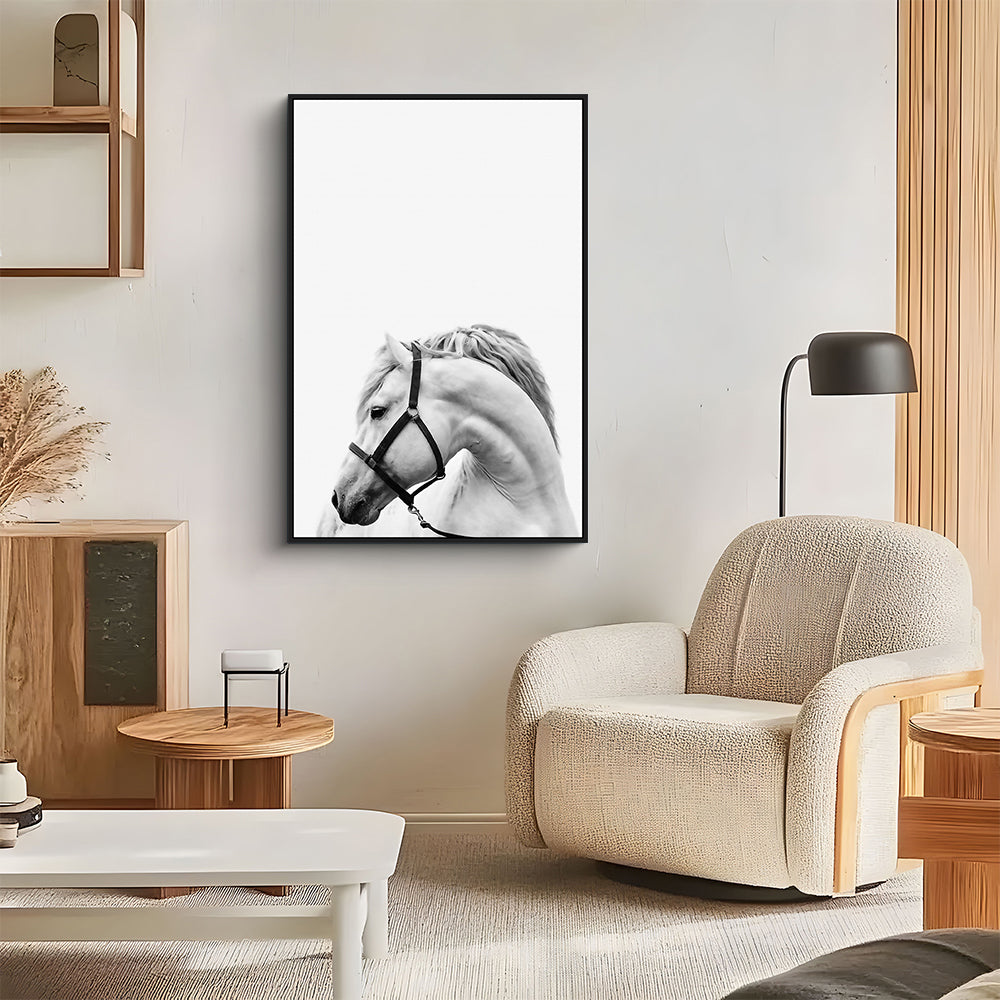 Elegant White Stallion Canvas Wall Art