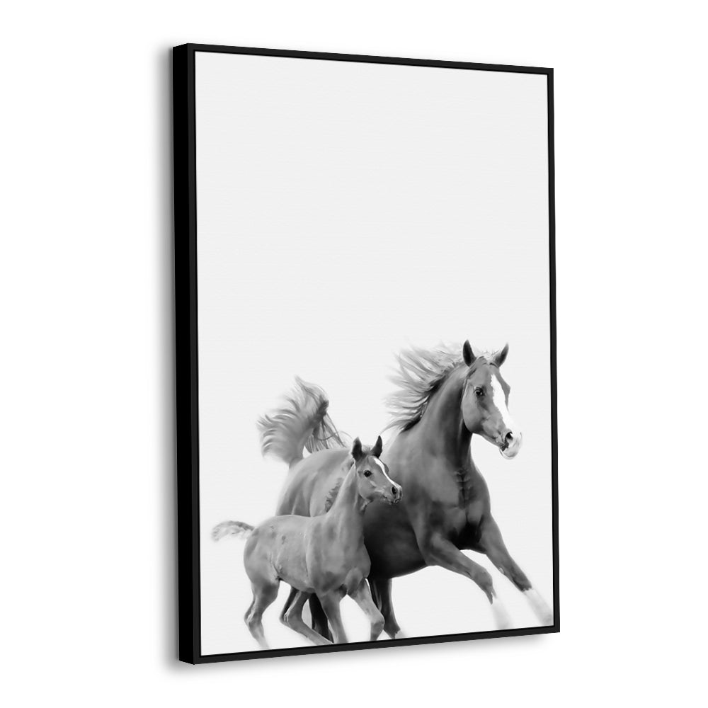Graceful Mare and Foal Canvas Wall Art