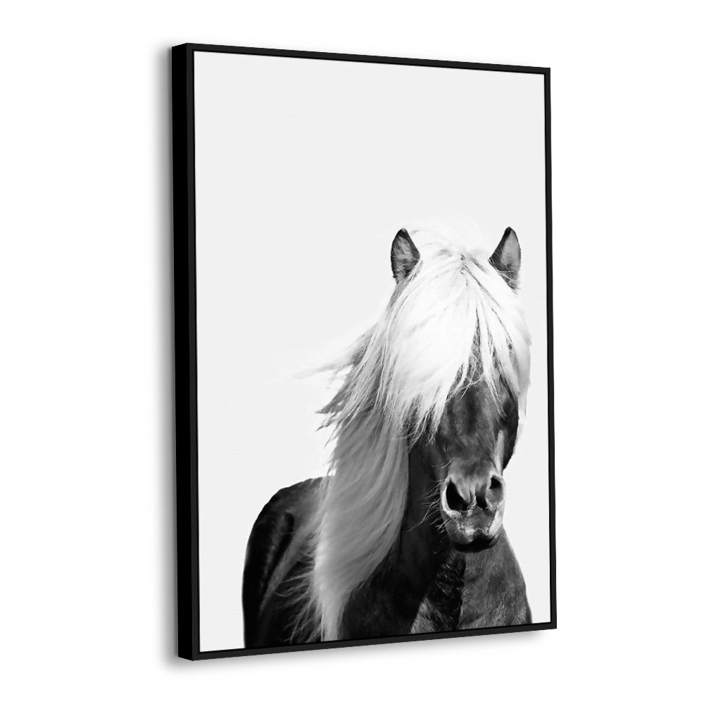 Black And White Majestic Horse Canvas Wall Art