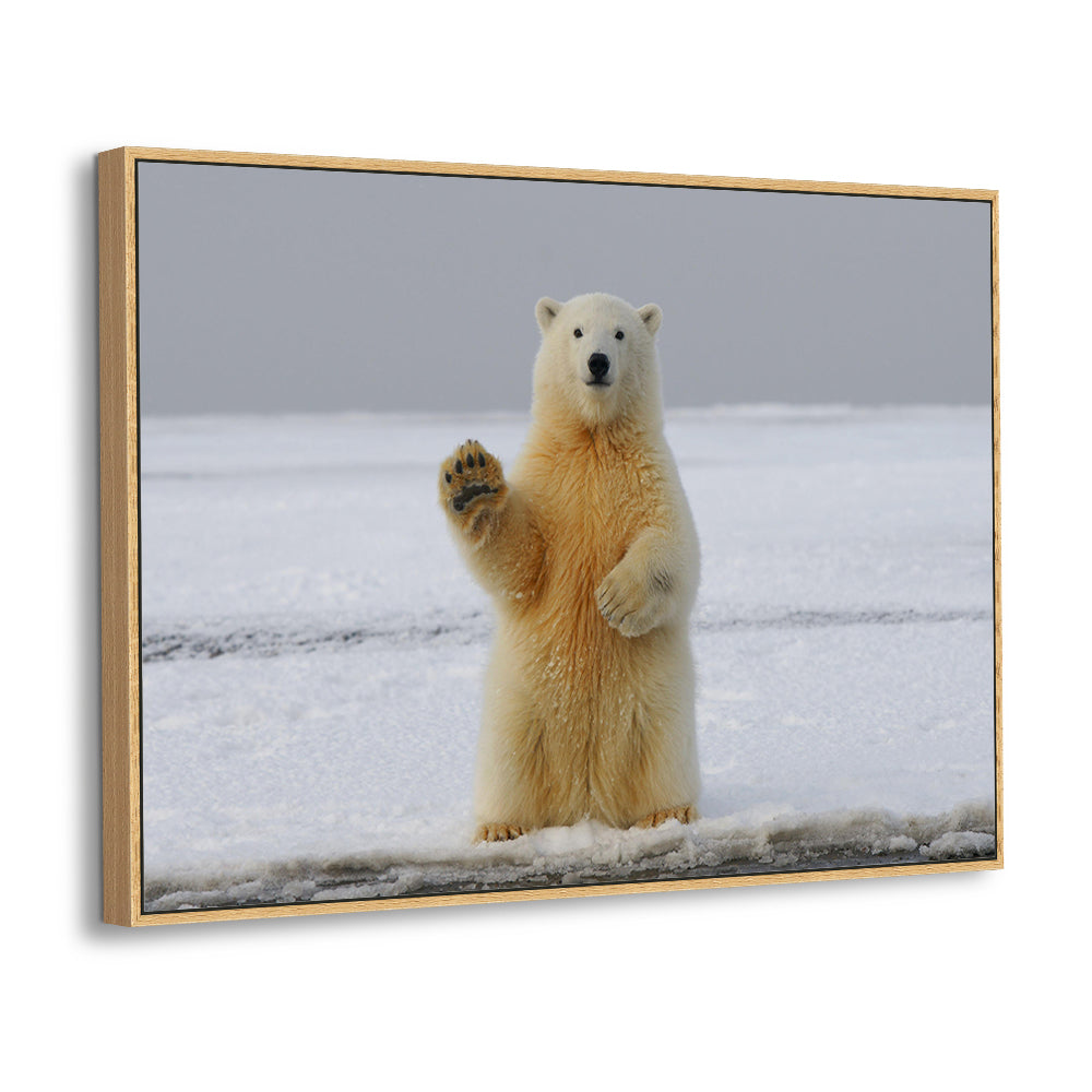 Polar Bear Greetings - Wildlife Canvas Wall Art