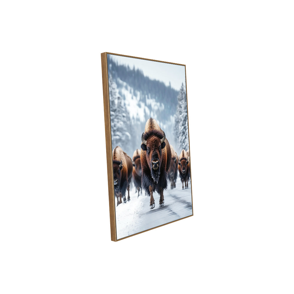 Majestic Winter Bison Canvas Wall Art