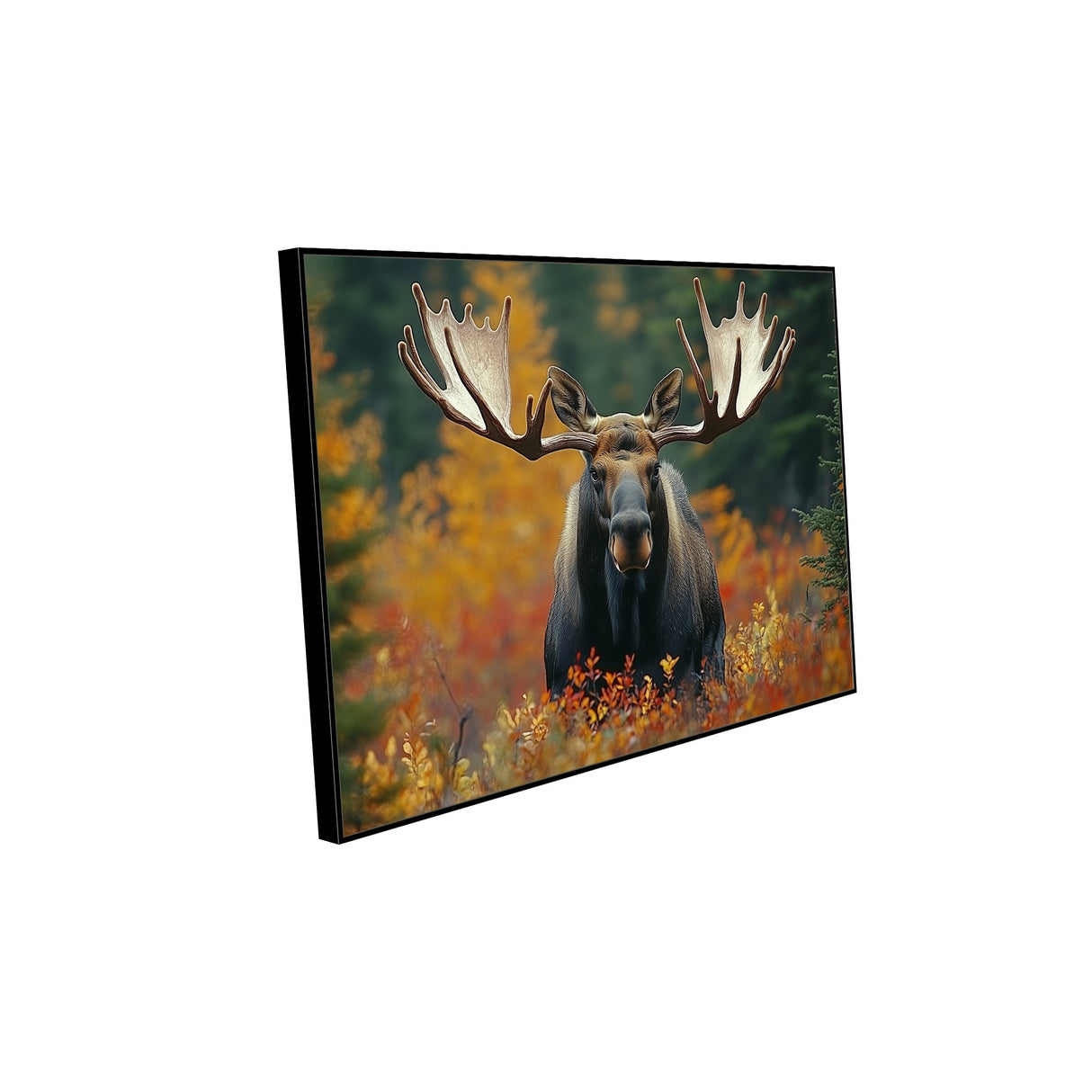 "Majestic Moose in Autumn" Canvas Wall Art