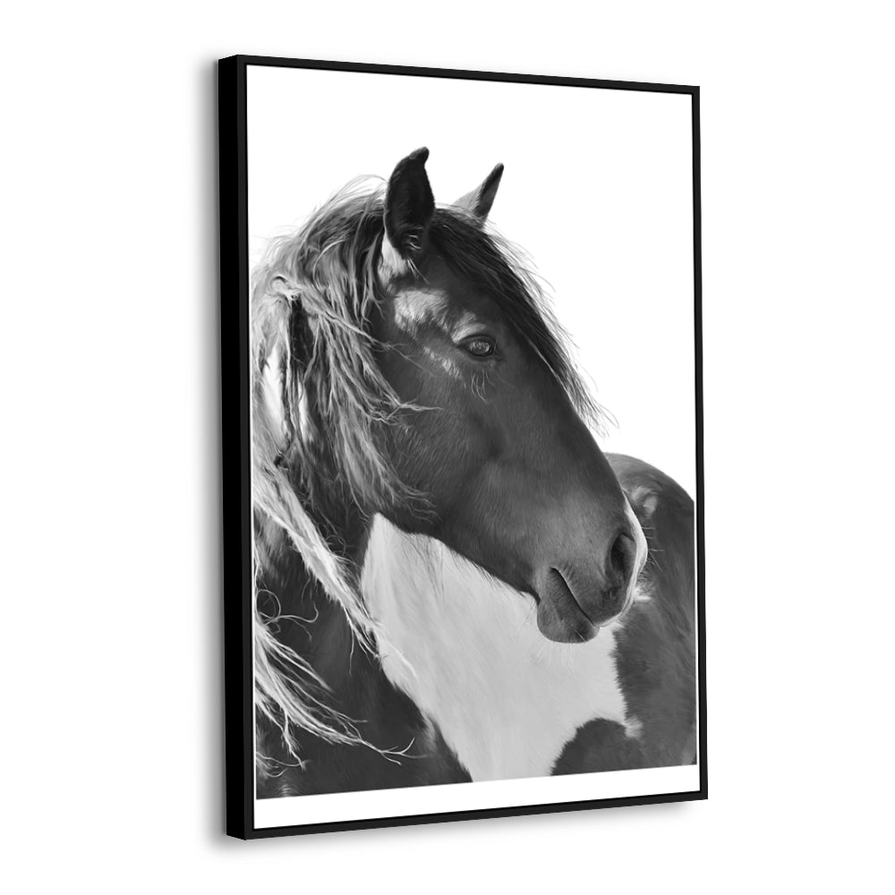 Graceful Black And White Horse Portrait Canvas Wall Art