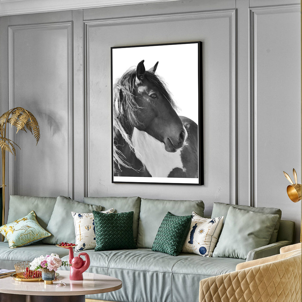 Graceful Black And White Horse Portrait Canvas Wall Art