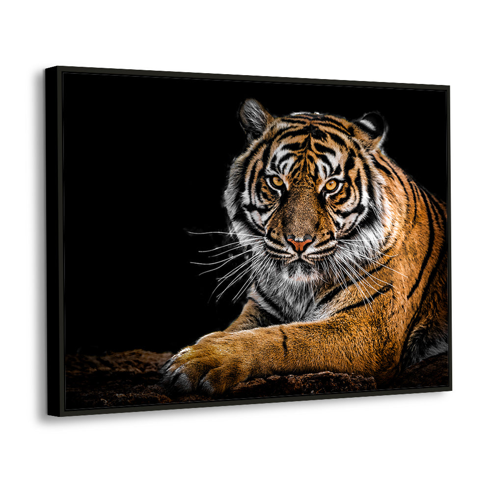Majestic Tiger - Wild Animal Canvas Wall Art