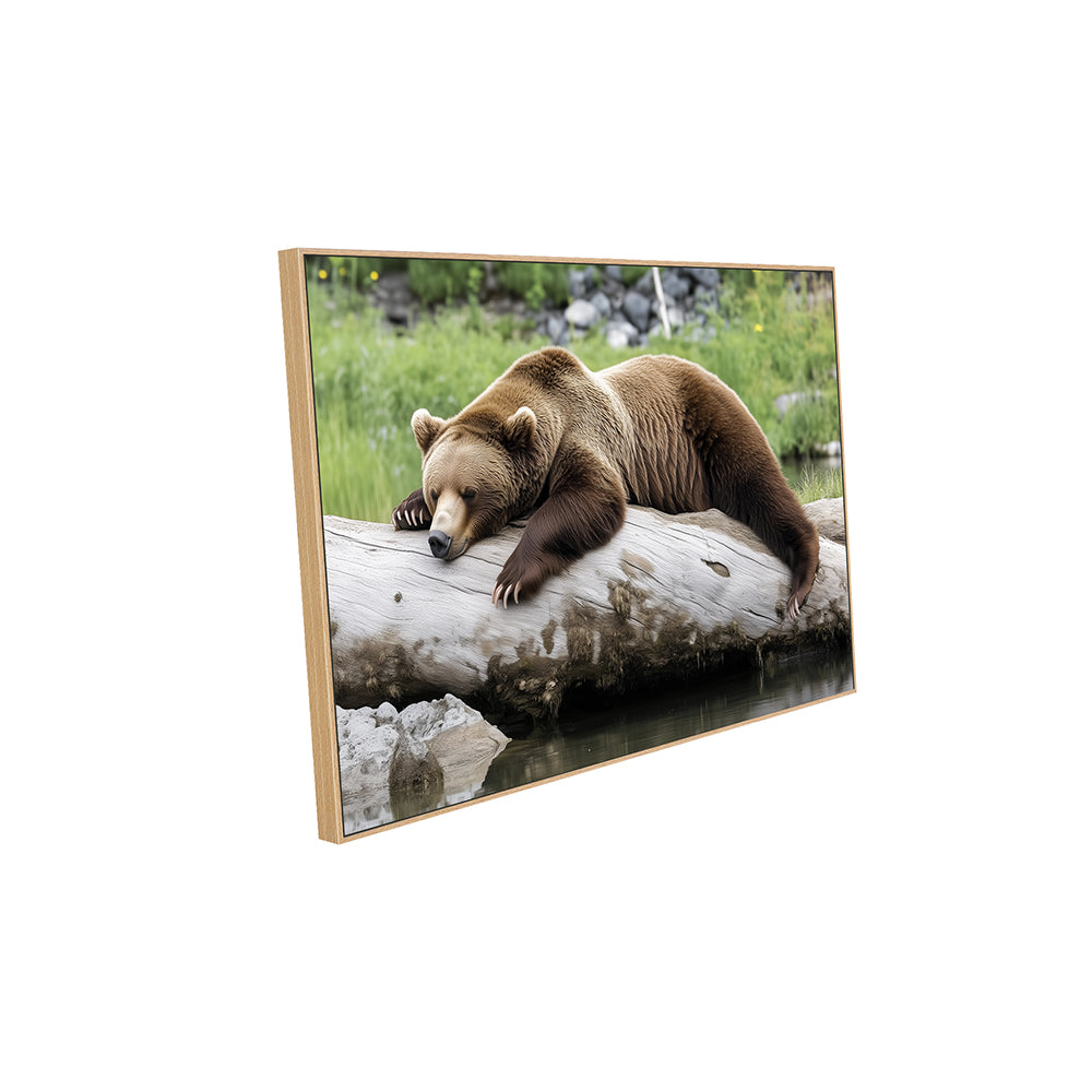 Tranquil Grizzly Bear On Log Canvas Wall Art