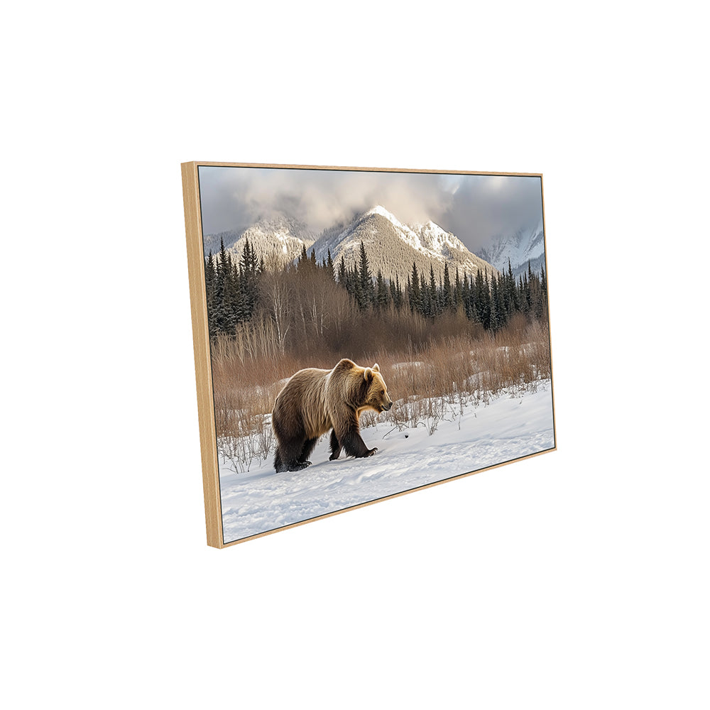 Majestic Grizzly In Winter Canvas Wall Art