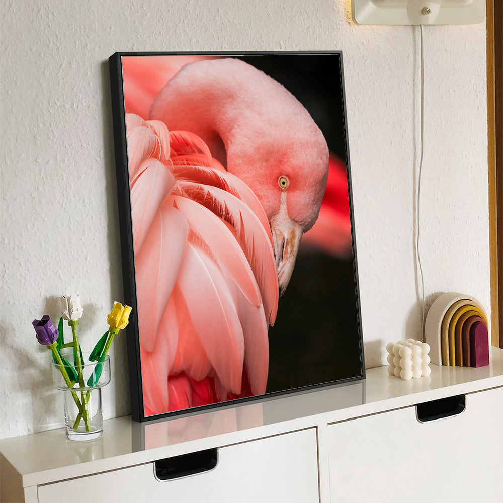 Graceful Flamingo - Vibrant Bird Canvas Wall Art