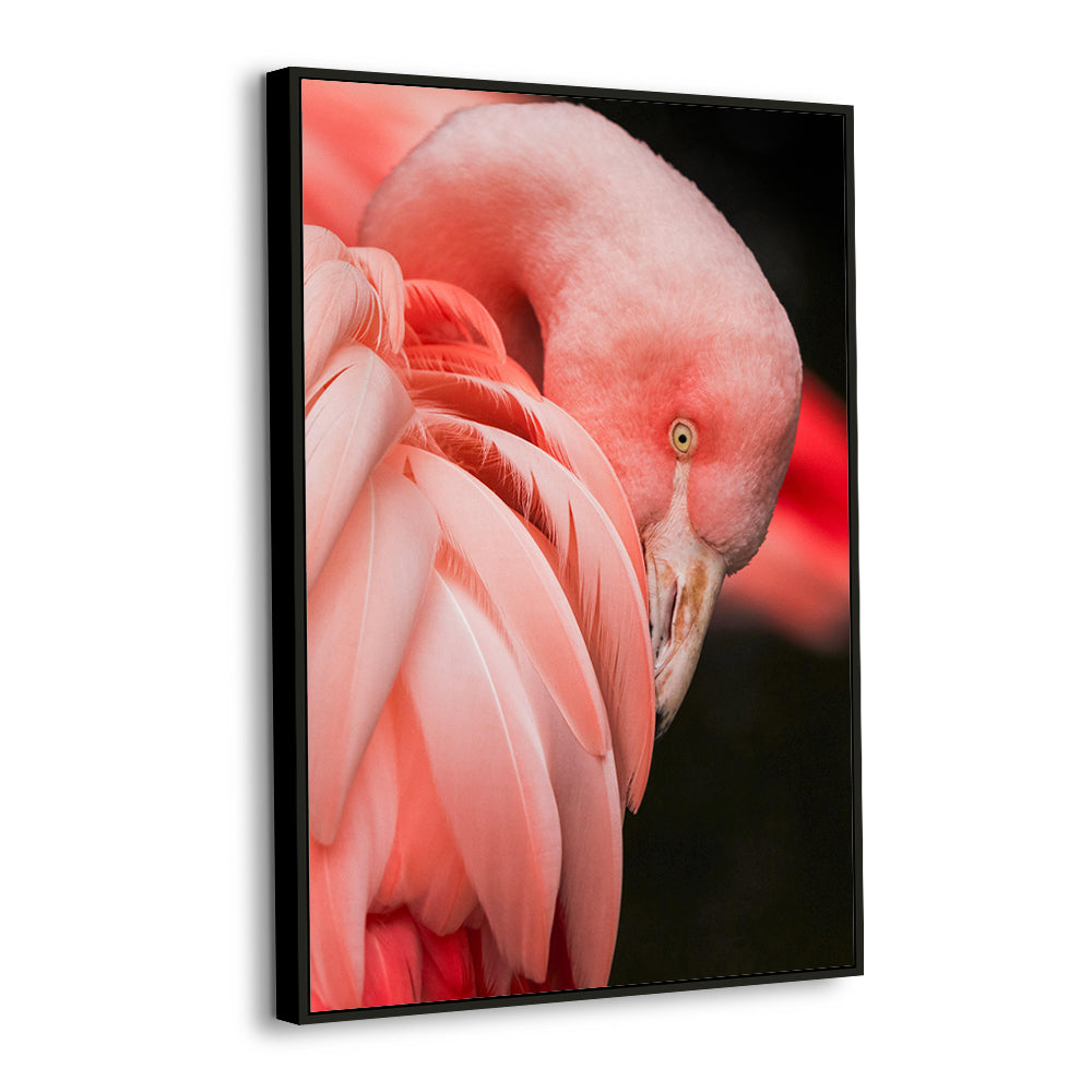 Graceful Flamingo - Vibrant Bird Canvas Wall Art