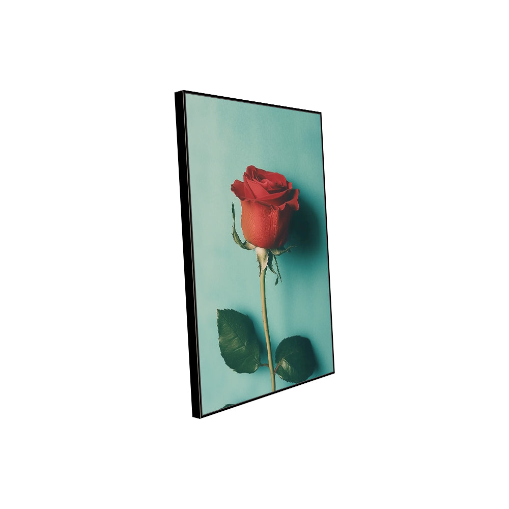 Elegant Red Rose Canvas Wall Art