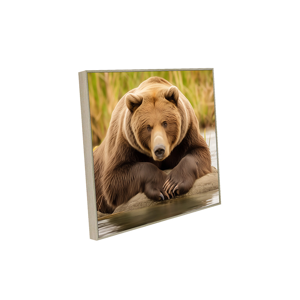 Relaxed Brown Bear Canvas Wall Art