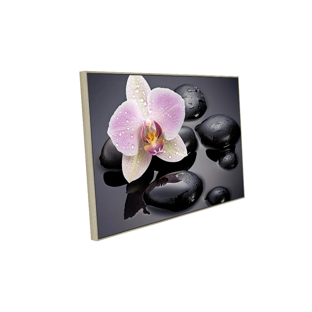 Elegant Orchid Canvas Wall Art