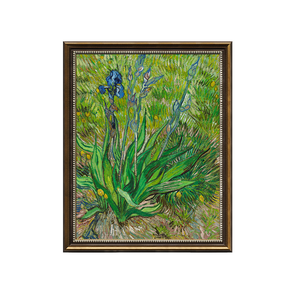 "Irises" By Vincent Van Gogh