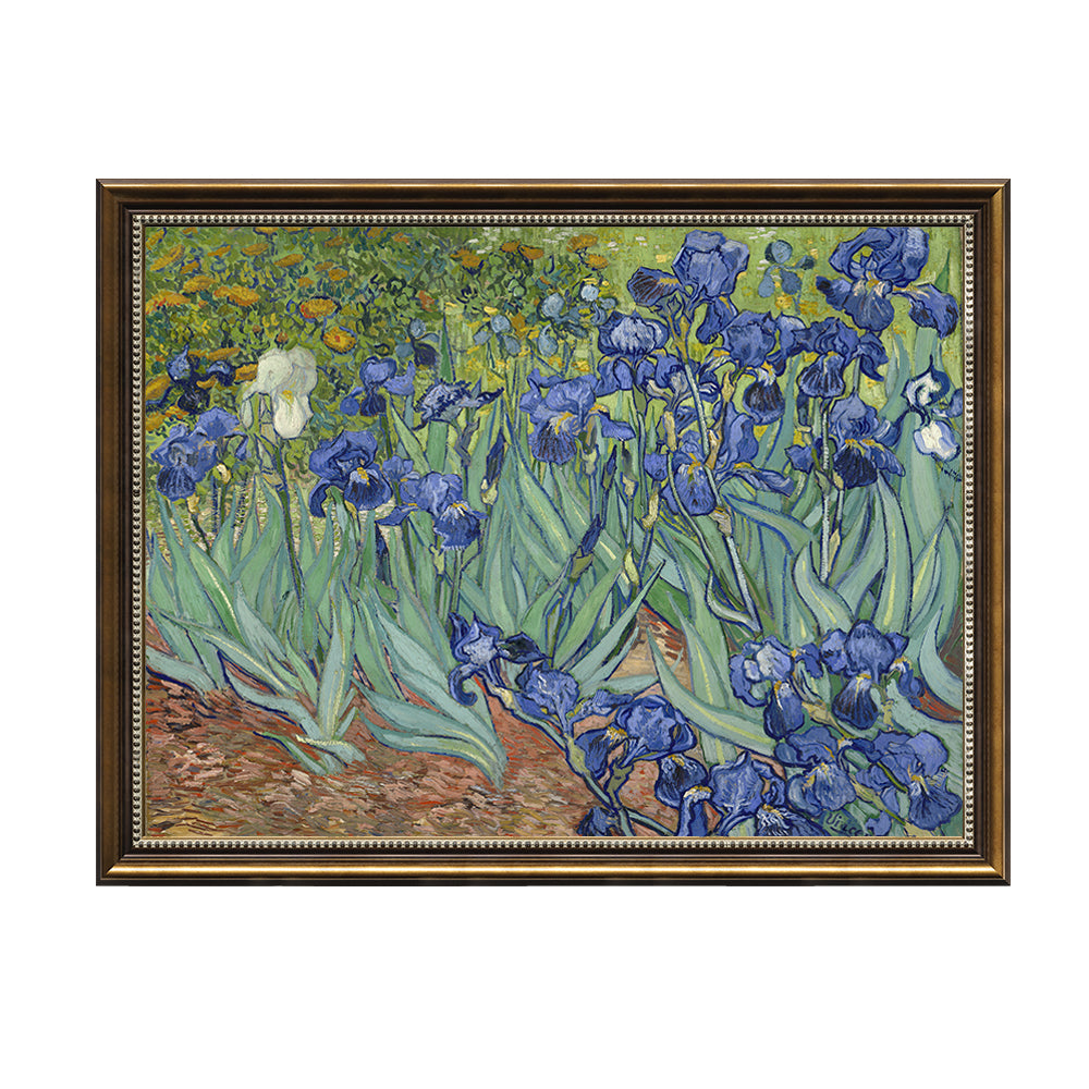 "Irises in Bloom" By Vincent Van Gogh