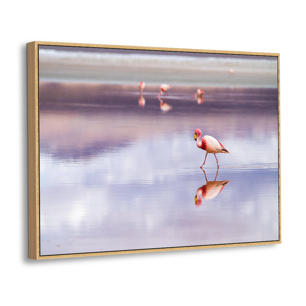 Graceful Flamingo Reflection - Elegant Bird Canvas Wall Art