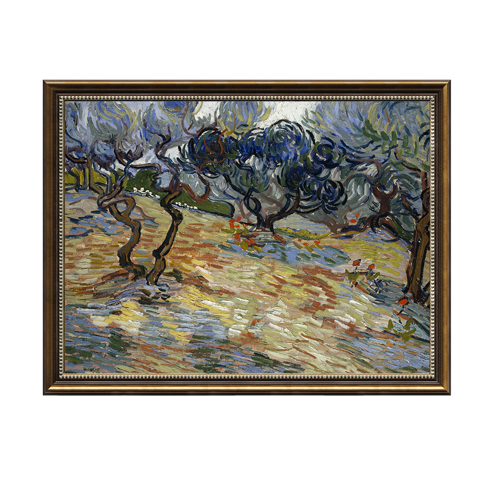 Olive Trees By Vincent Van Gogh