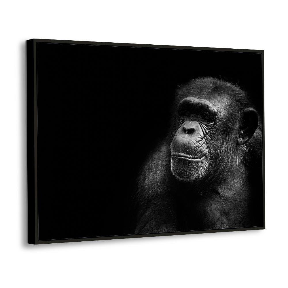 Gorilla Portrait - Majestic Wildlife Canvas Wall Art