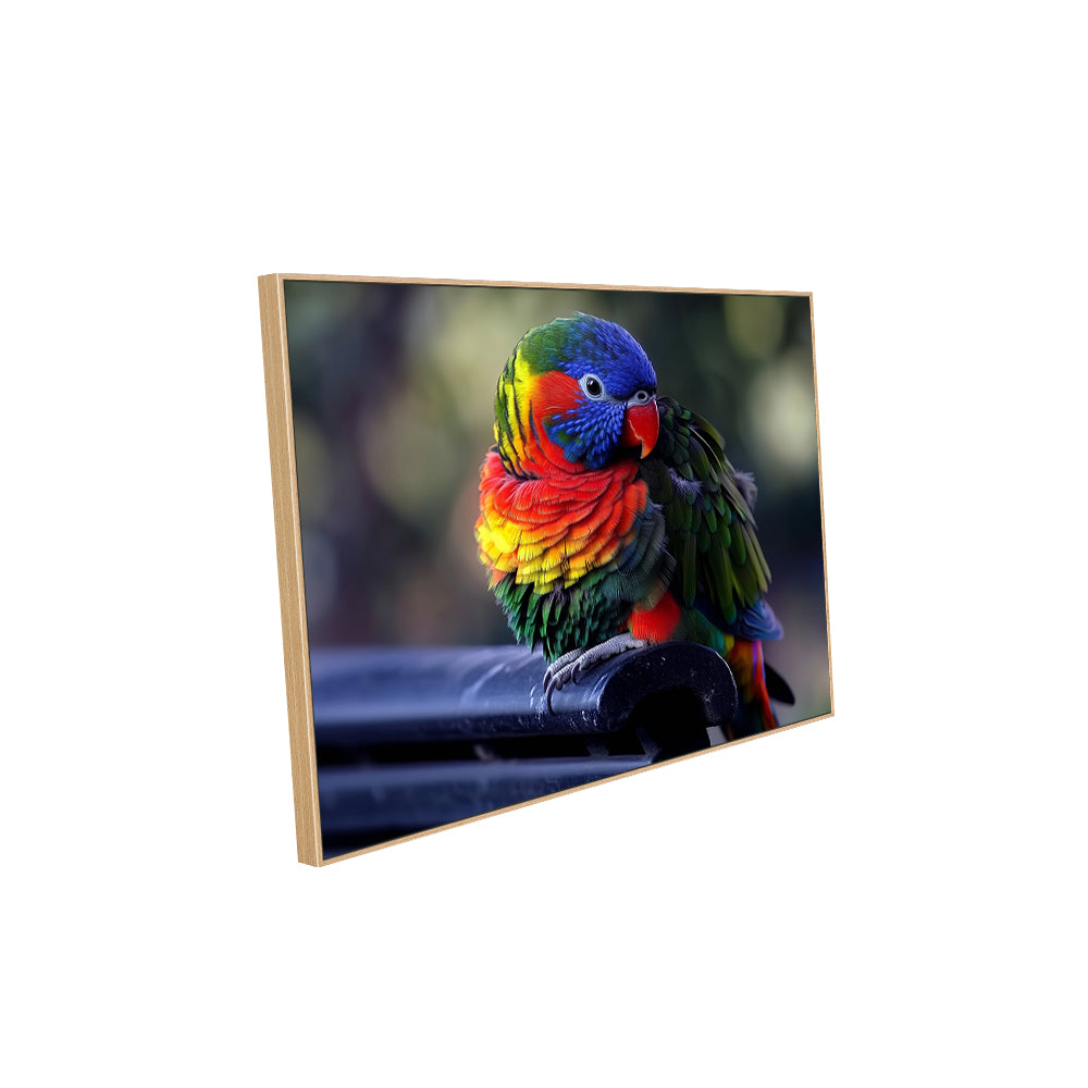 Vibrant Rainbow Lorikeet-Canvas Wall Art