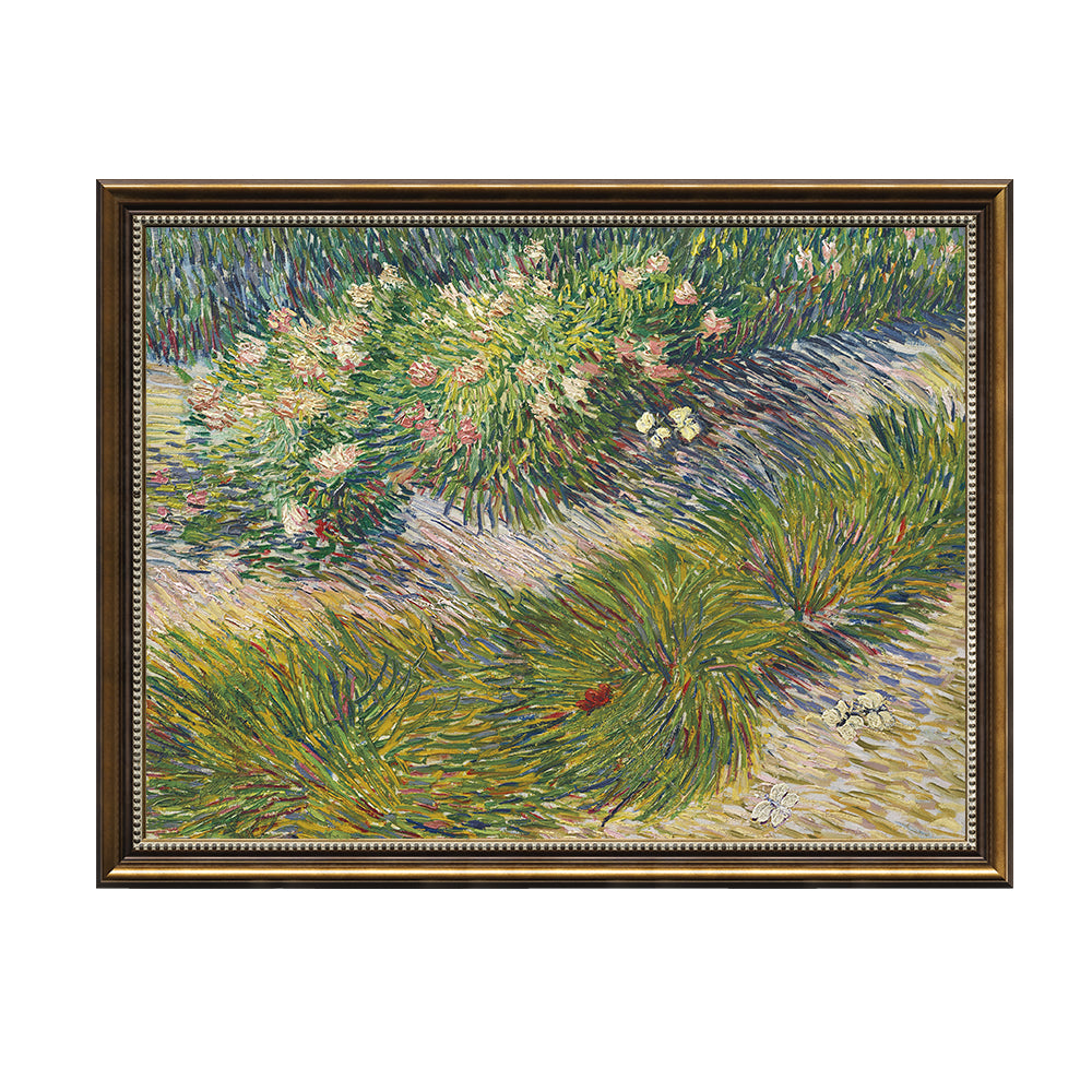 Garden In Auvers By Vincent Van Gogh