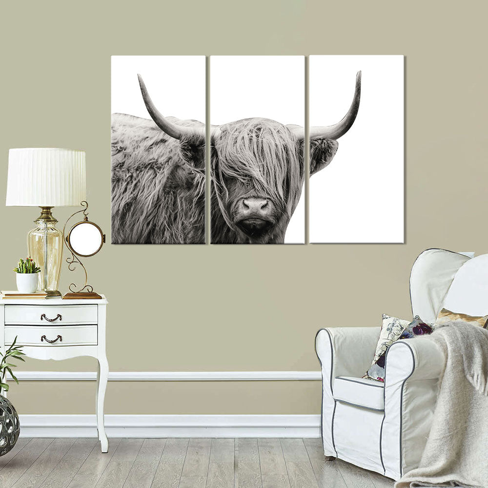 Stunning Highland Cow Canvas Wall Art