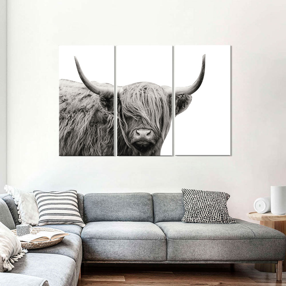 Stunning Highland Cow Canvas Wall Art