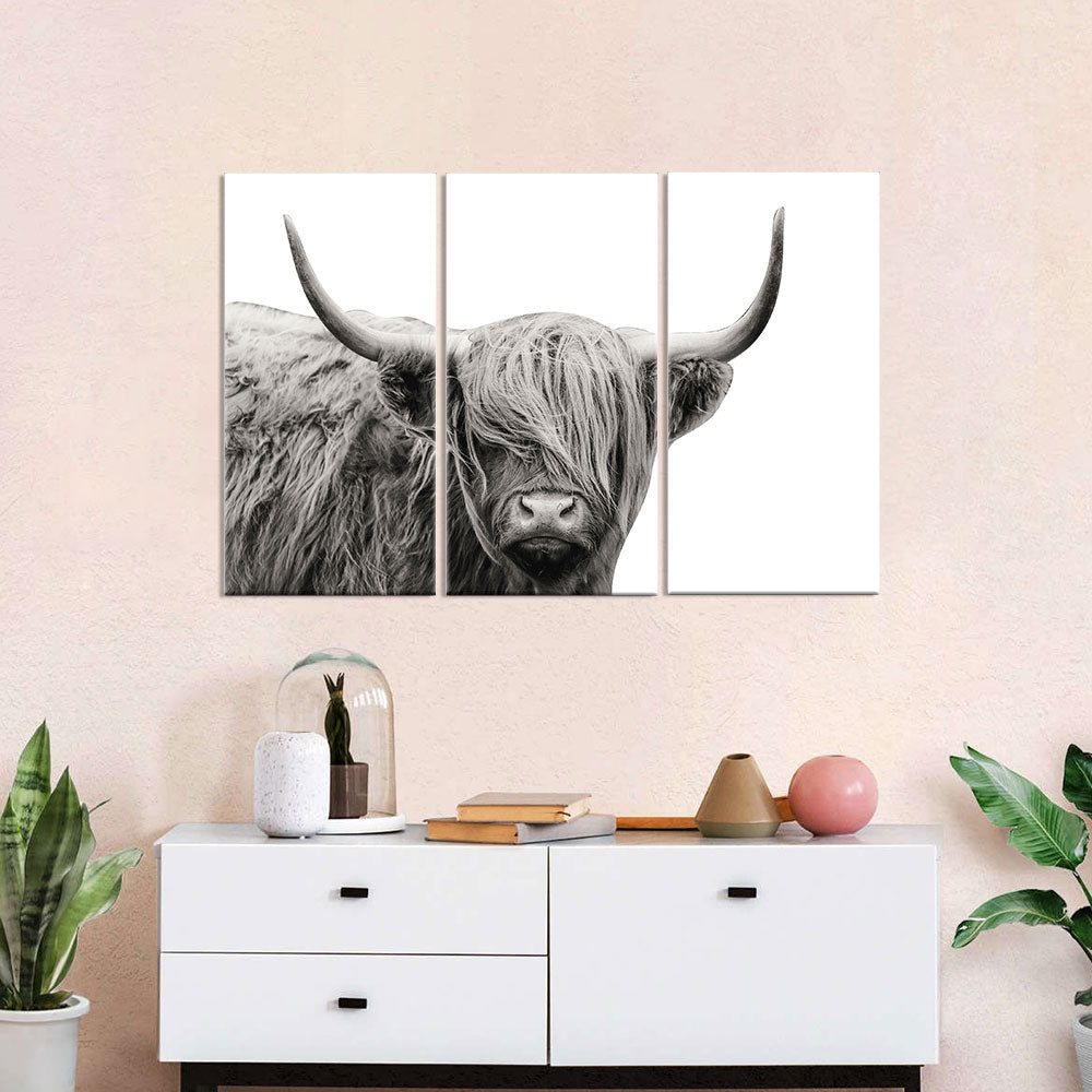 Stunning Highland Cow Canvas Wall Art