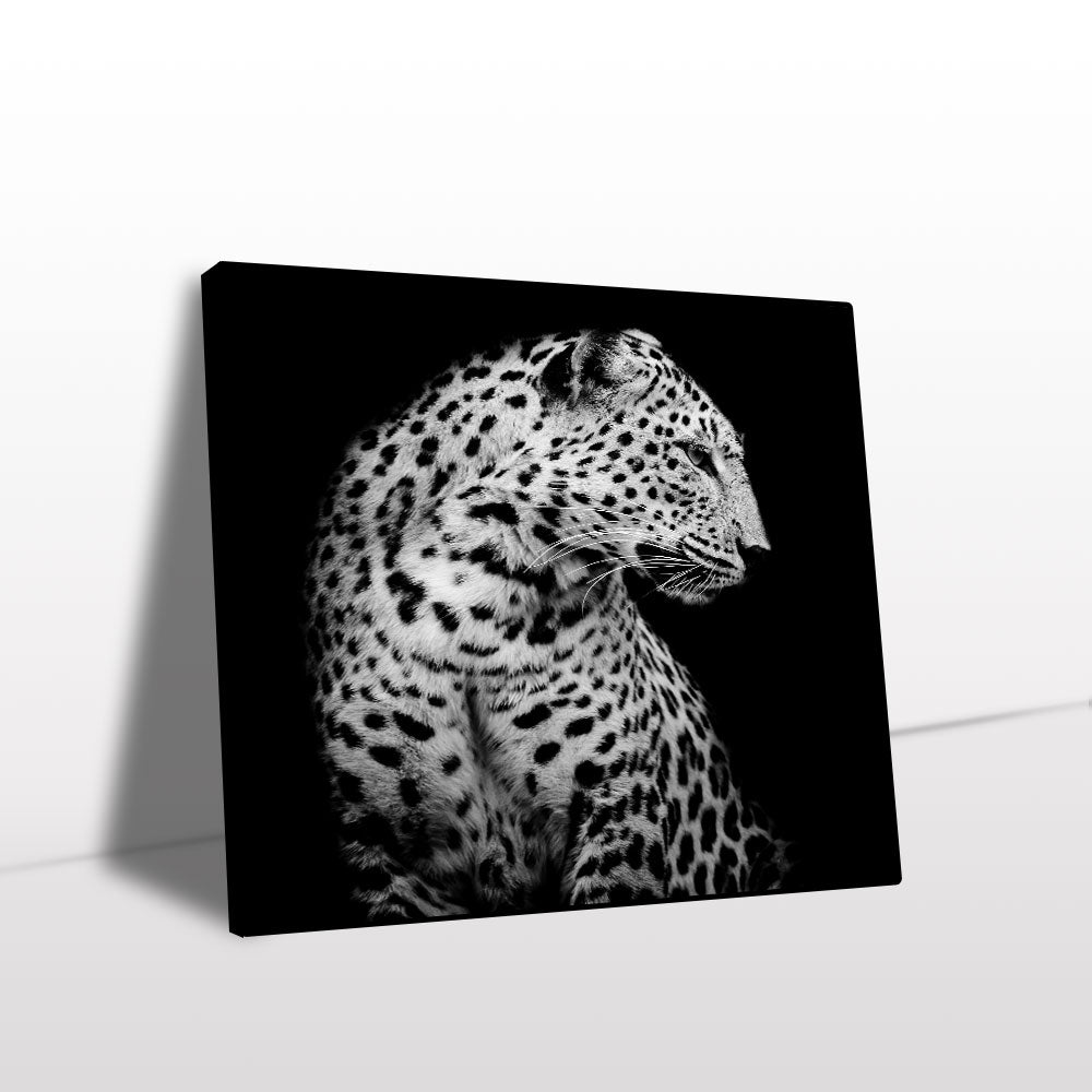 Majestic Leopard Black And White Canvas Wall Art
