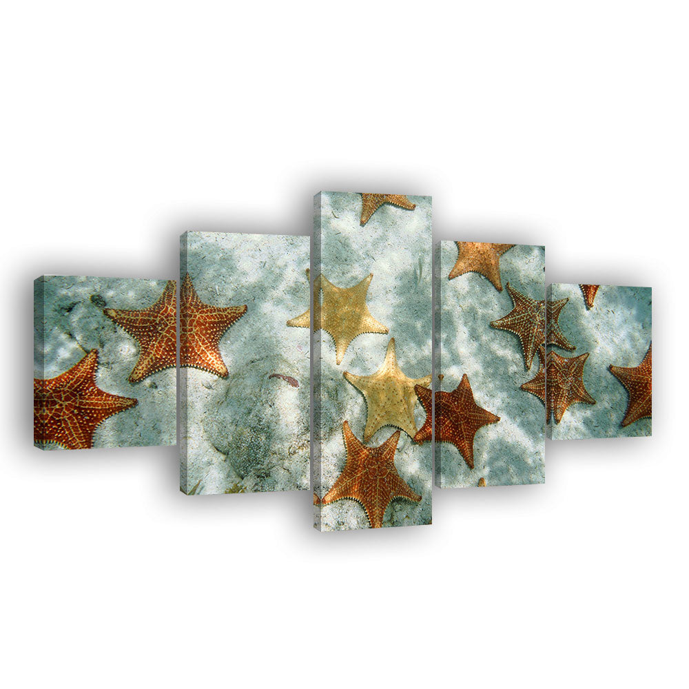 Starfishes On Seabed Canvas Wall Art