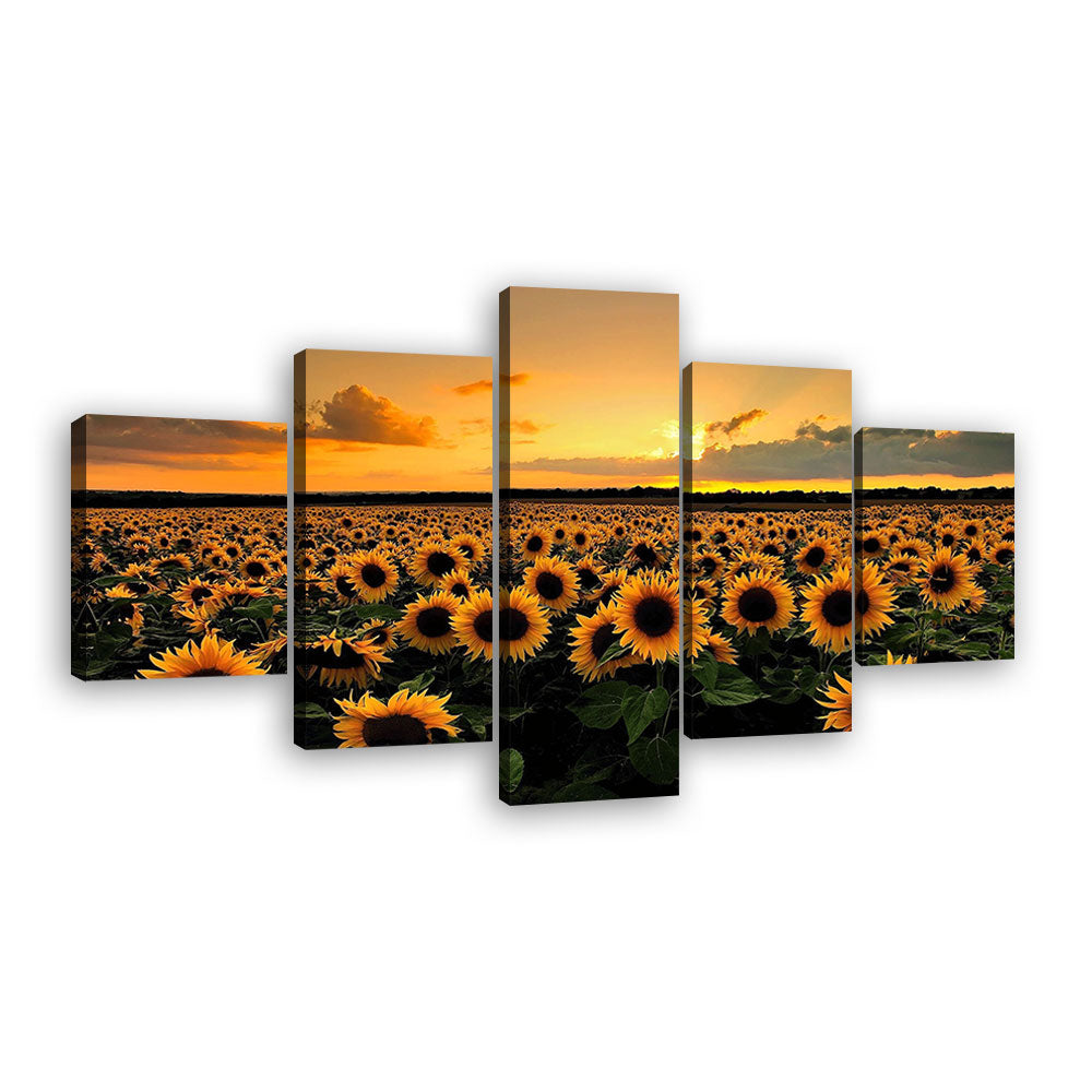Sunflowers at Sunset Canvas Wall Art