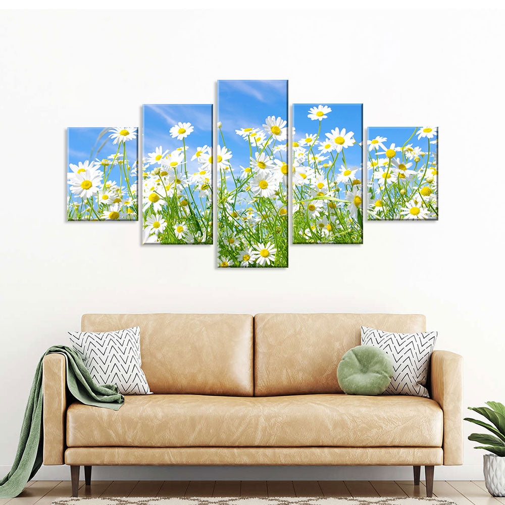 White Daisy Bloom Canvas Wall Art