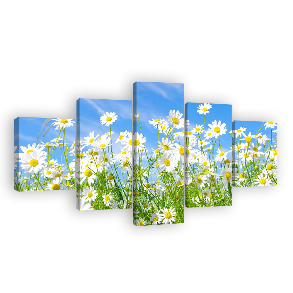 White Daisy Bloom Canvas Wall Art