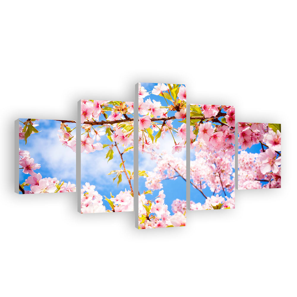 Sunshine Pink Cherry Blossom Canvas Wall Art
