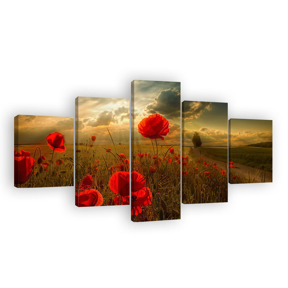 Sunshine Poppy Field Canvas Wall Art
