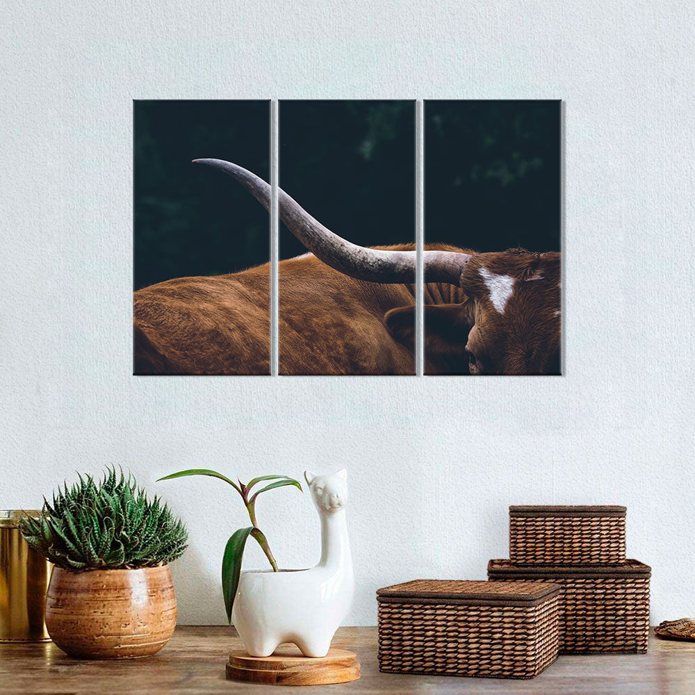 Texas Longhorn Cow Canvas Wall Art