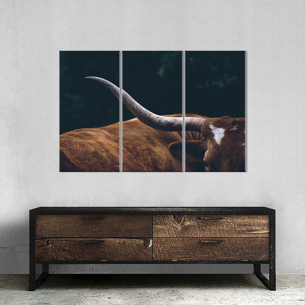 Texas Longhorn Cow Canvas Wall Art