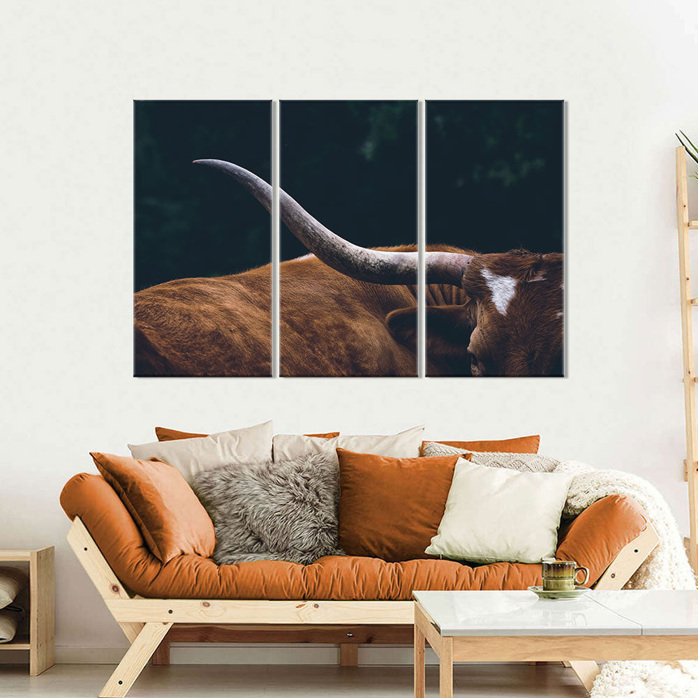 Texas Longhorn Cow Canvas Wall Art