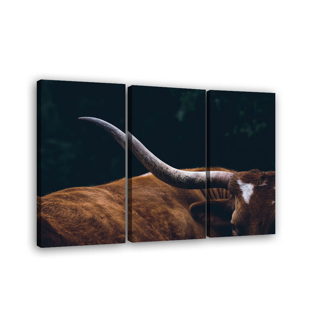Texas Longhorn Cow Canvas Wall Art