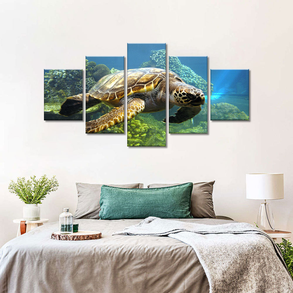 Turtle Swimming In The Ocean Canvas Wall Art