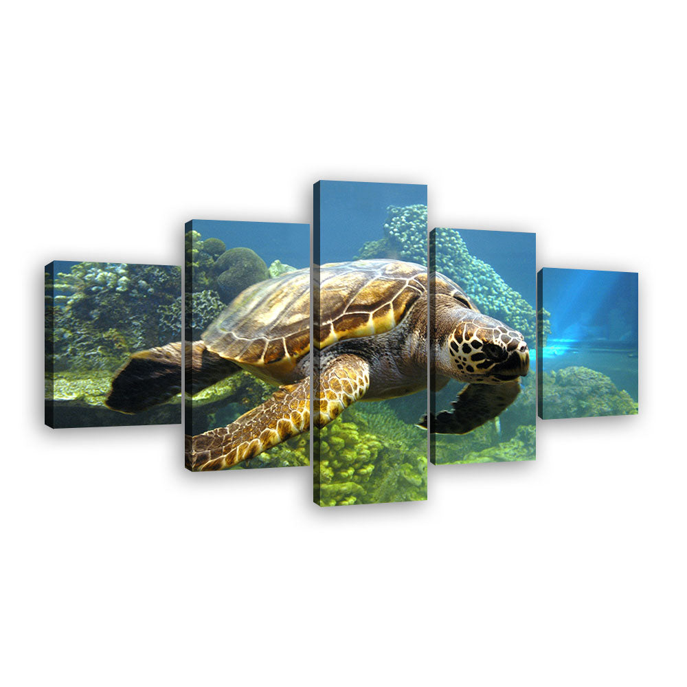 Turtle Swimming In The Ocean Canvas Wall Art
